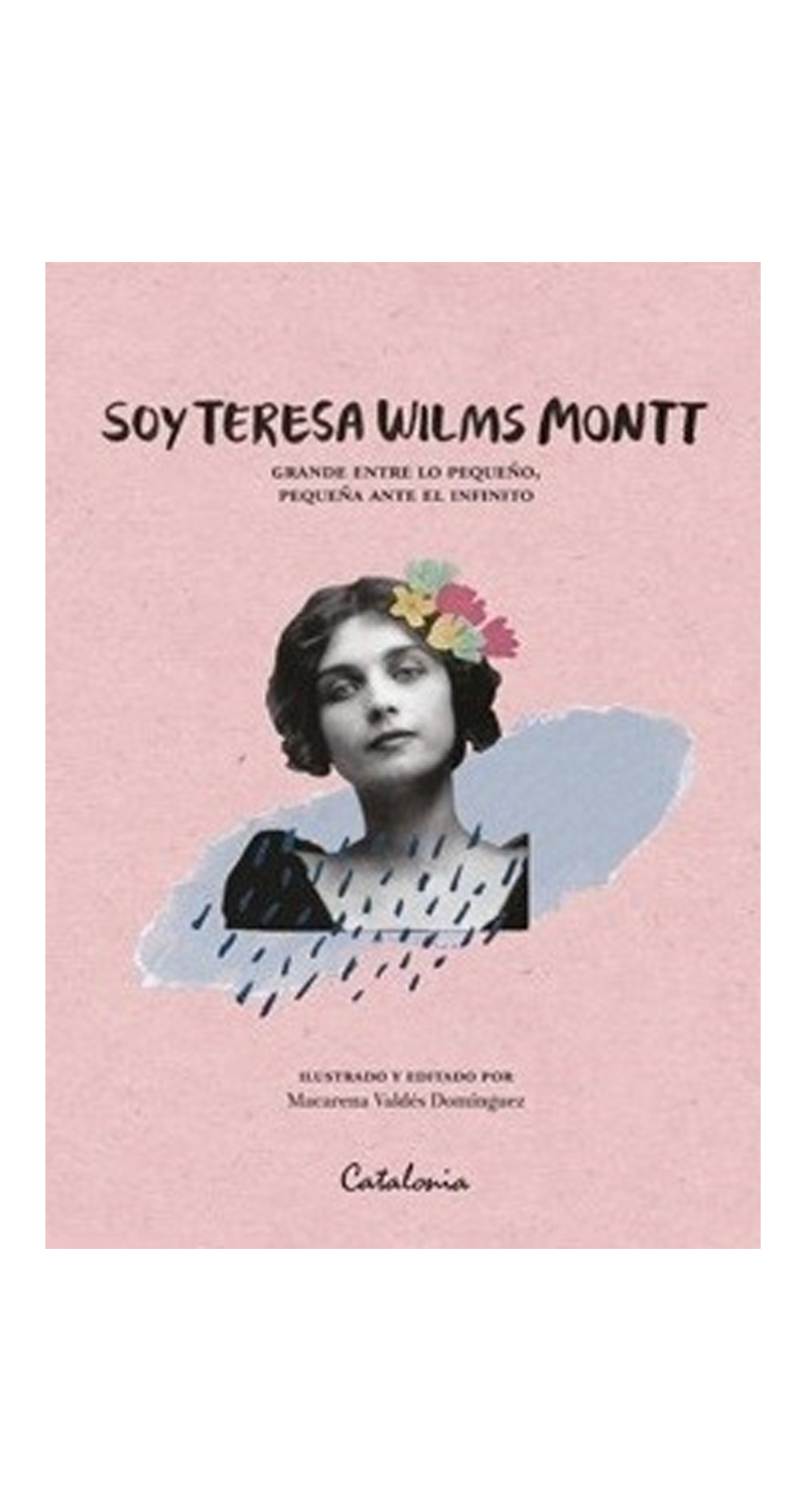 LIBRO SOY TERESA WILMS MONTT 490 MACARENA VALDES DOMINGUEZ - 1