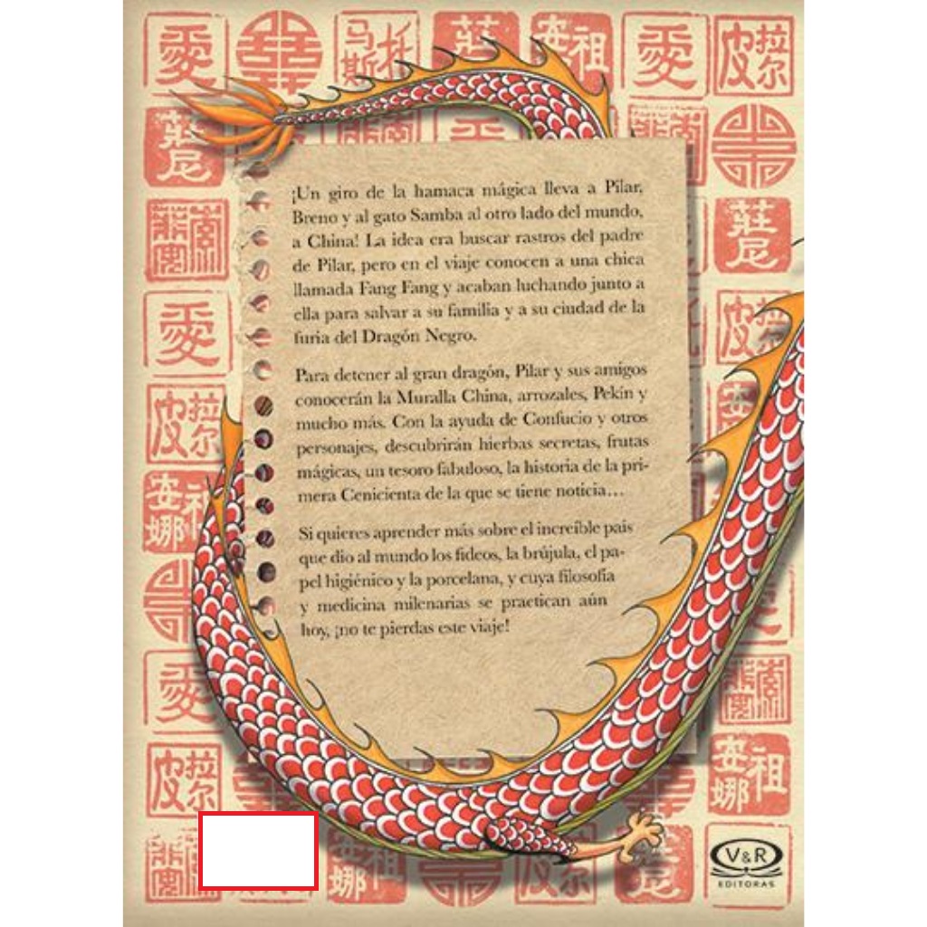 LIBRO DIARIO DE PILAR EN CHINA 299 FLAVIA LINS E SILVA - 2