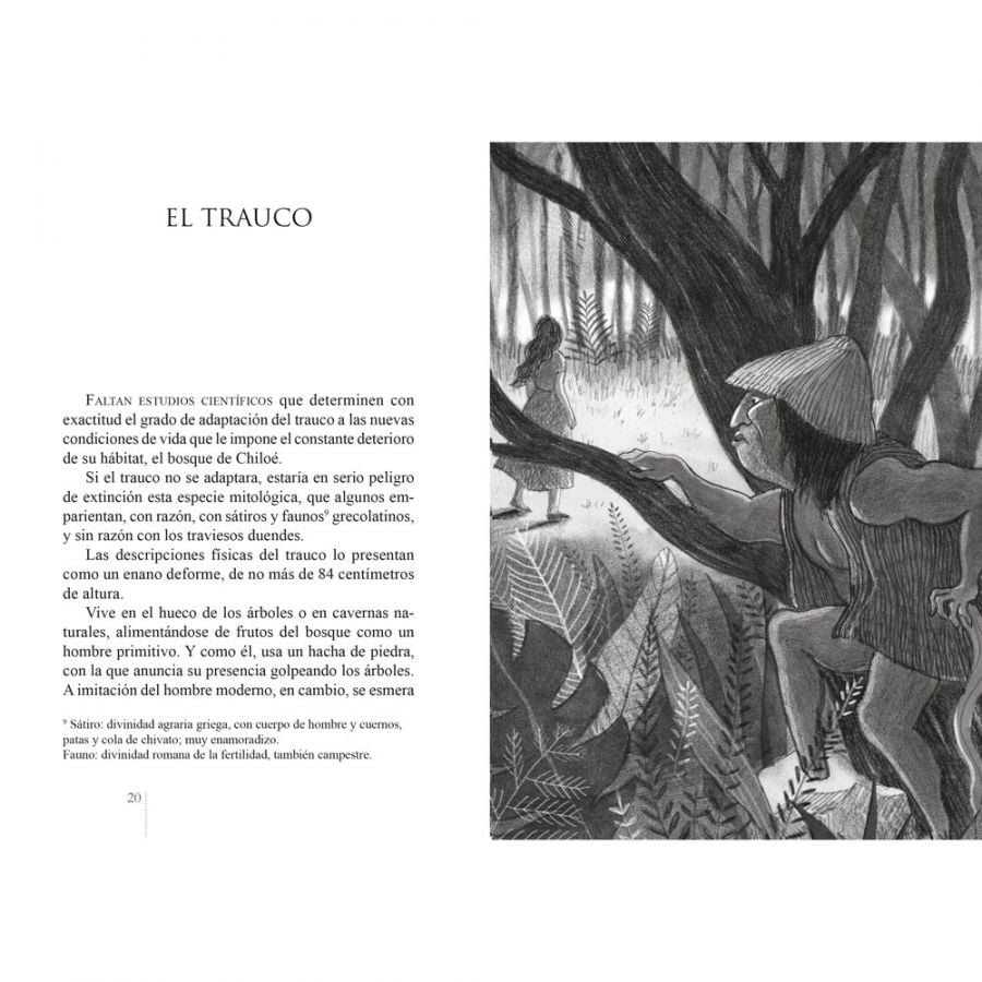 LIBRO MITOS Y LEYENDAS DE CHILE FLORIDOR PEREZ - 3