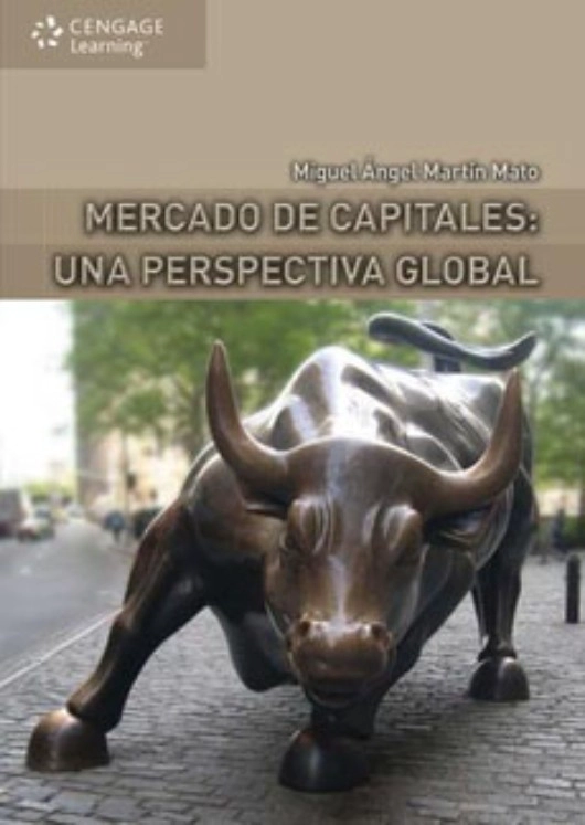 LIBRO MERCADO DE CAPITALES: UNA PERSPECTIVA GLOBAL - MIGUEL ANGEL MARTIN MATO - 1