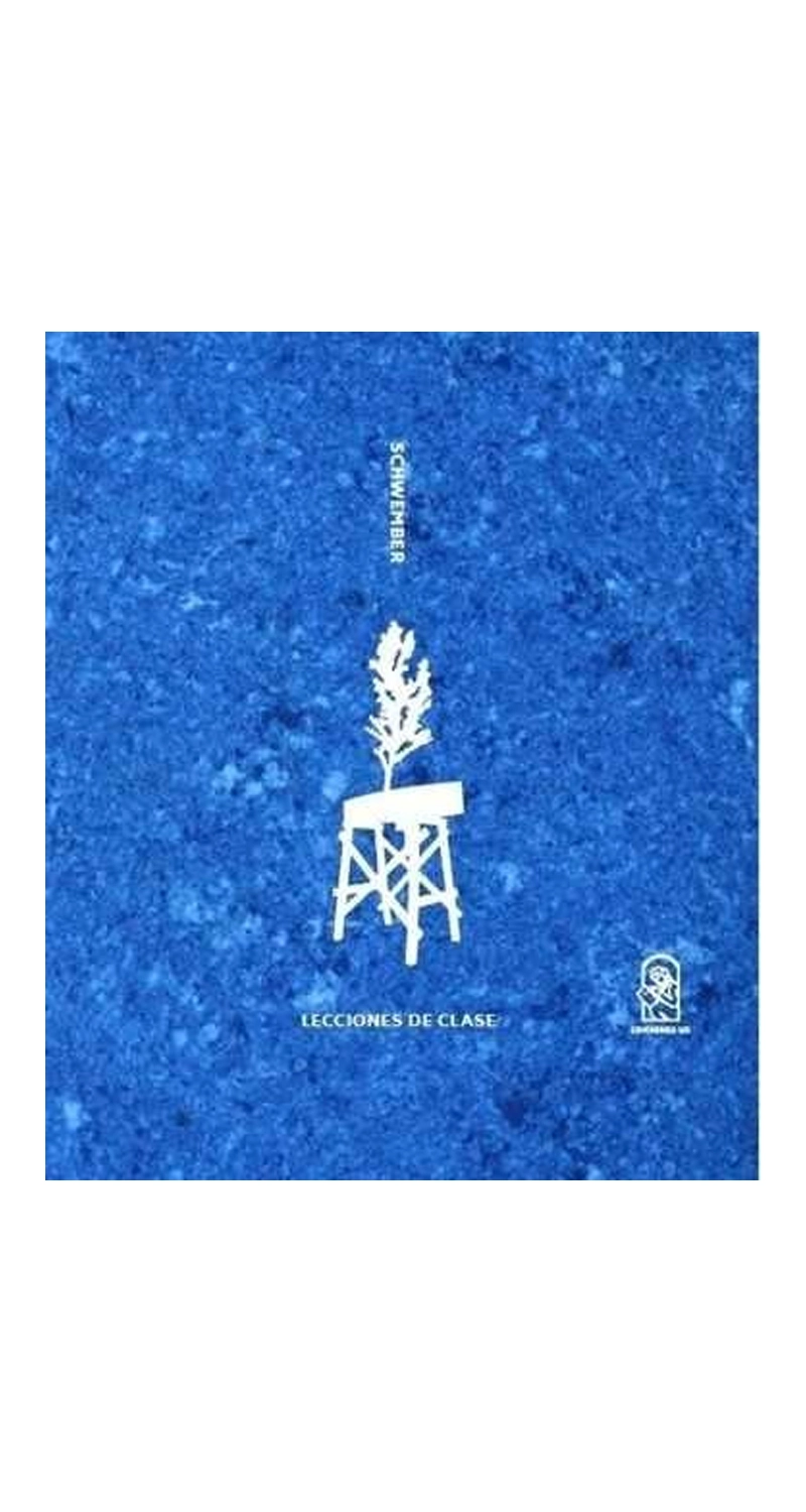 LIBRO LECCIONES DE CLASE 216 FRANCISCO SCHWEMBER - 1