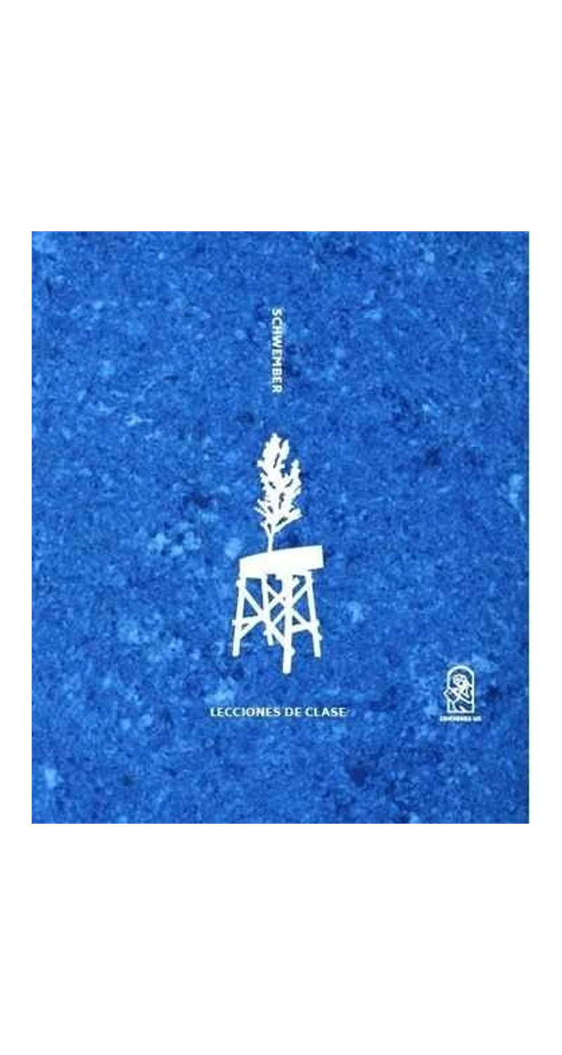 LIBRO LECCIONES DE CLASE 216 FRANCISCO SCHWEMBER - 1