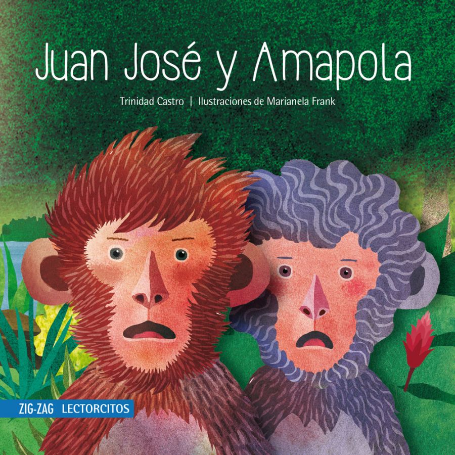 LIBRO JUAN JOSE Y AMAPOLA - TRINIDAD CASTRO - 1
