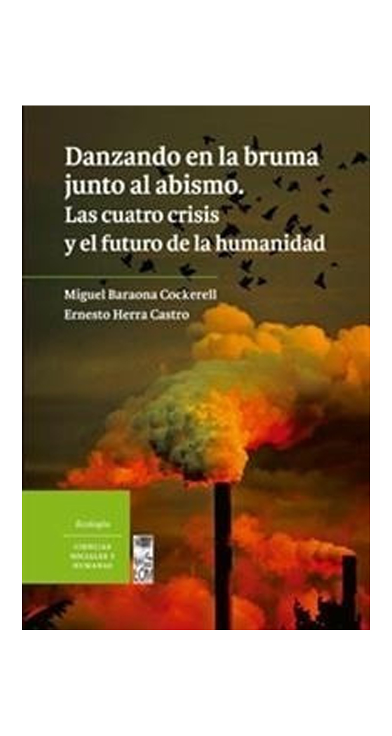 LIBRO DANZANDO EN LA BRUMA JUNTO AL ABISMO 711 MIGUEL BARAONA - 1