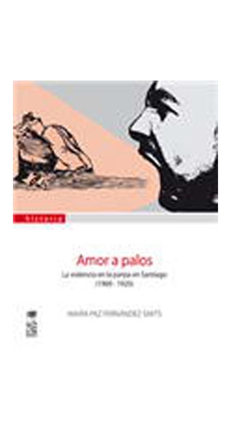 LIBRO AMOR A PALOS LA V I O L E N C I A EN LA PAREJA EN SANTIAGO 1900 1920 MARIA PAZ FERNANDEZ - 1