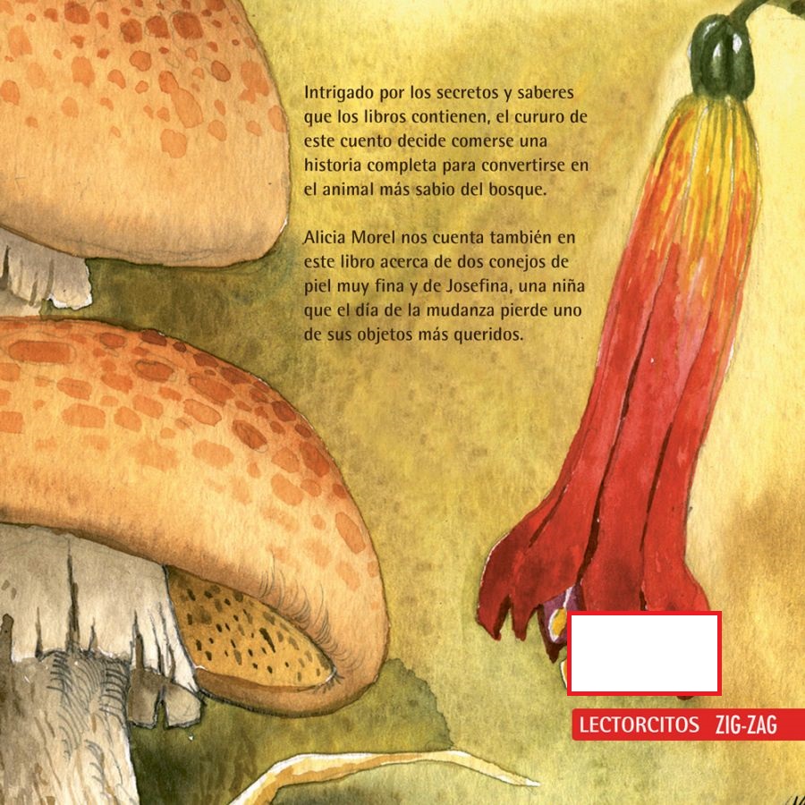LIBRO EL CURURO INCOMPRENDIDO Y OTROS CUENTOS - ALICIA MOREL - 2