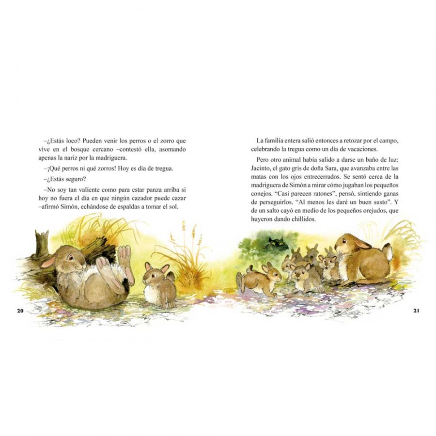 LIBRO EL CURURO INCOMPRENDIDO Y OTROS CUENTOS - ALICIA MOREL - 3