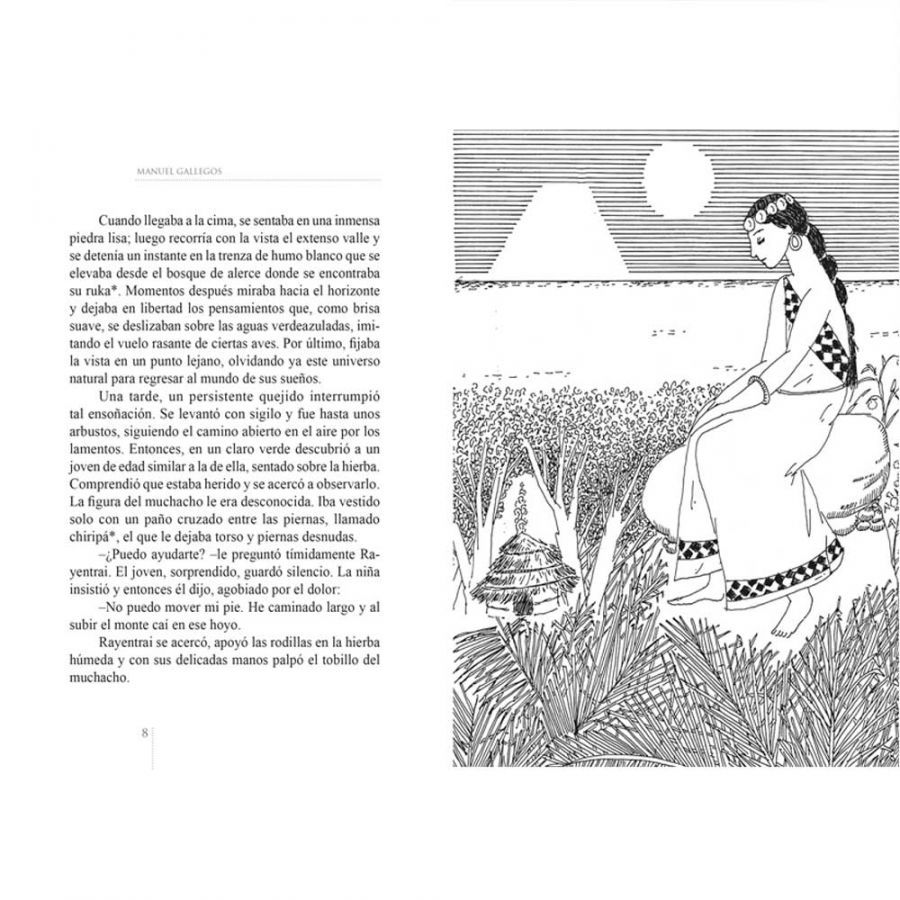 LIBRO CUENTOS MAPUCHES DEL LAGO ESCONDIDO - MANUEL GALLEGOS - 3