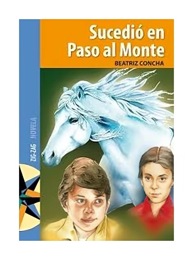 LIBRO SUCEDIO EN PASO AL MONTE - 1