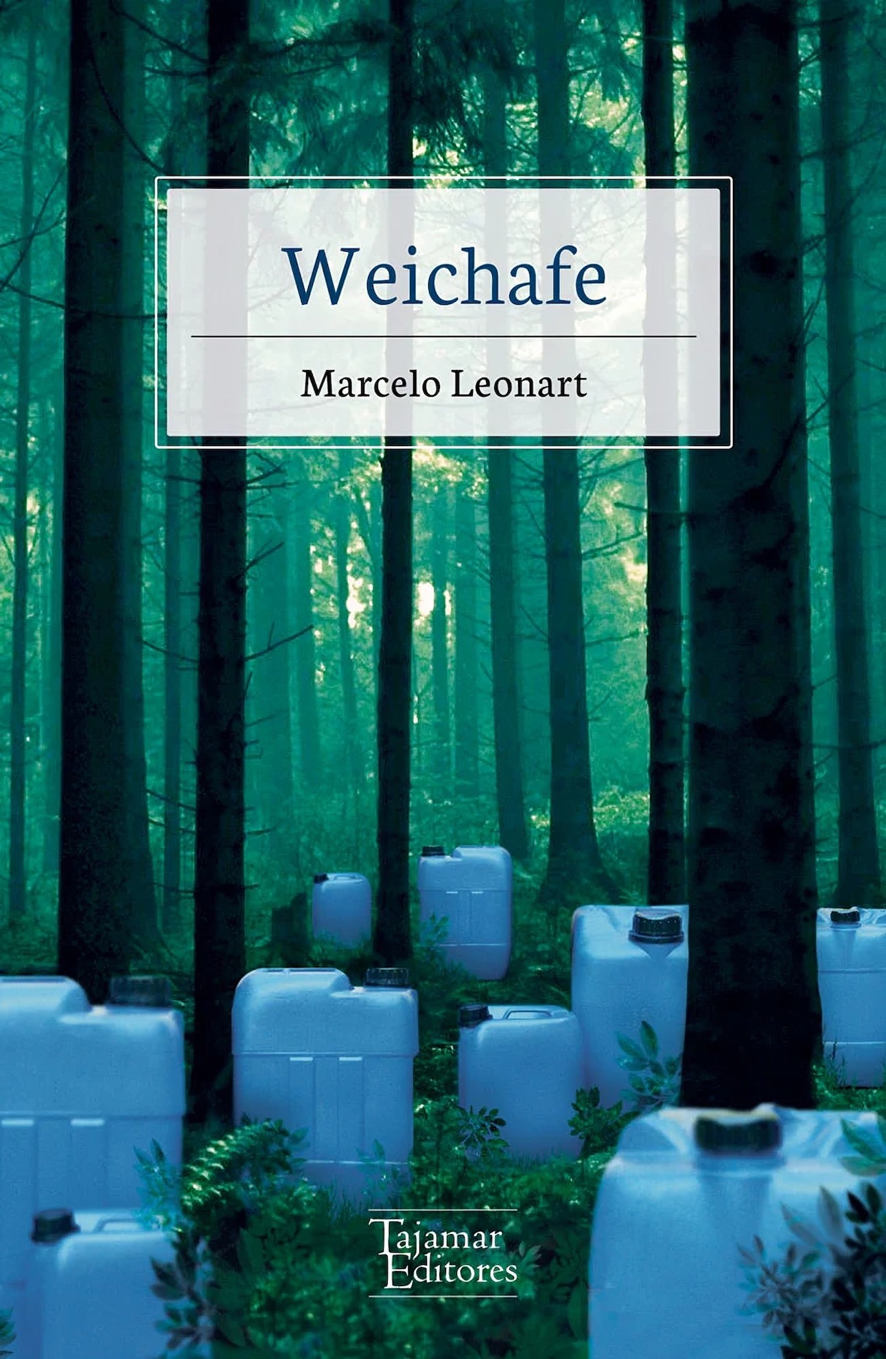 LIBRO WEICHAFE - MARCELO LEONART / TAJAMAR EDITORES - 1