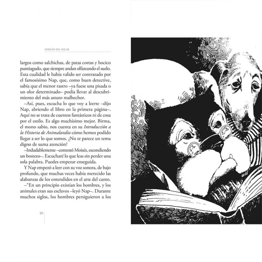 LIBRO EL CRIMEN DE LA CALLE BAMBI - HERNAN DEL SOLAR - ANDRES JULLIAN / ZIGZAG - 4