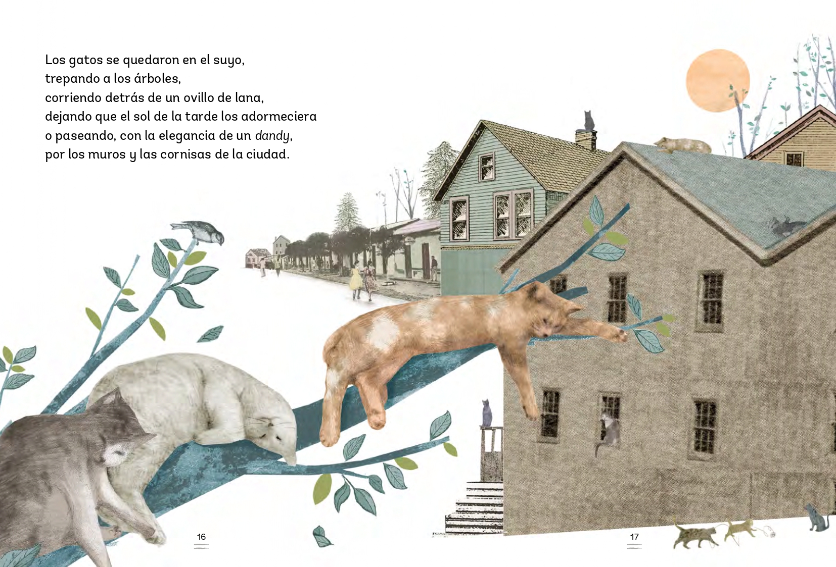 LIBRO EL SECRETO DE LOS GATOS - MARCELO SIMONETTI - 3