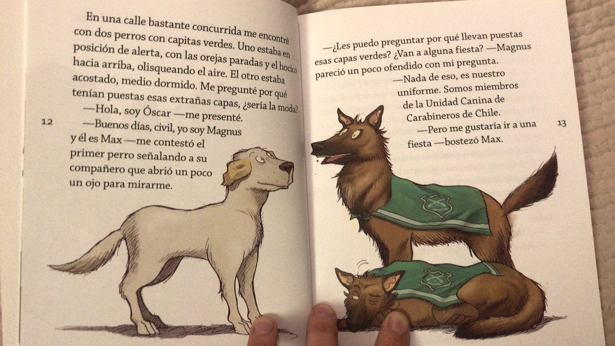 LIBRO OSCAR - FLORENCIA HERRERA / SANTILLANA - 3