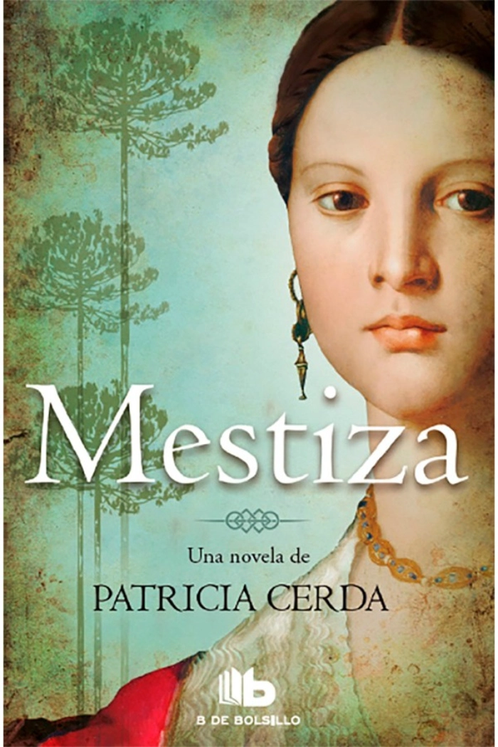 LIBRO MESTIZA - PATRICIA CERDA / B DE BOLSILLO - 1