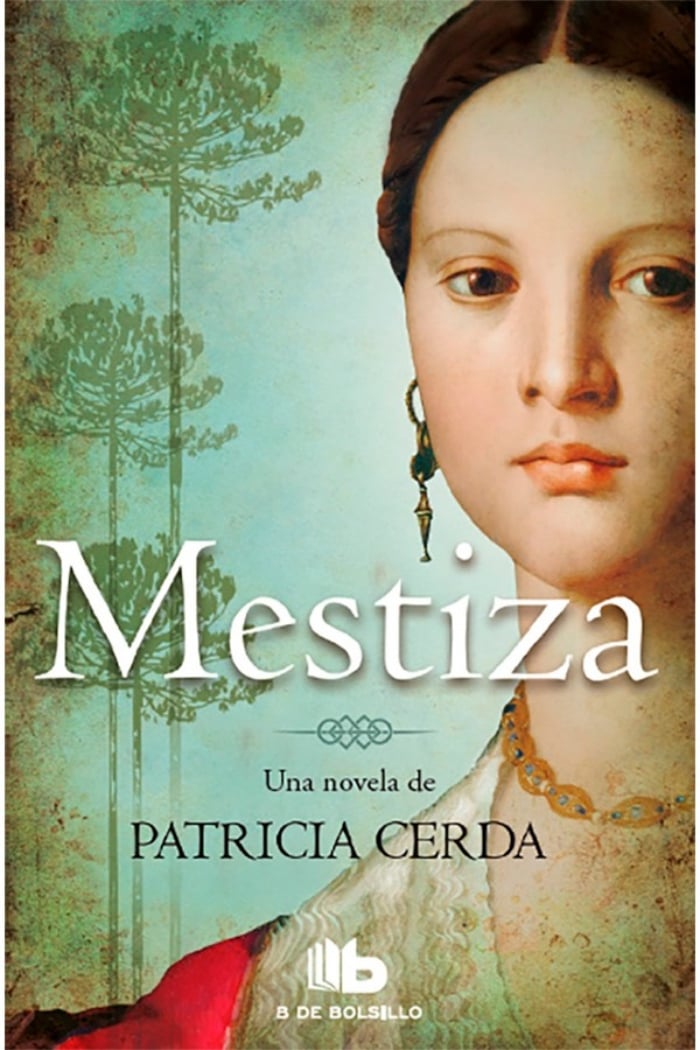 LIBRO MESTIZA - PATRICIA CERDA / B DE BOLSILLO - 1