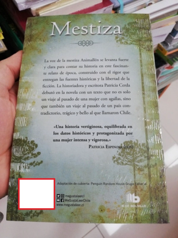 LIBRO MESTIZA - PATRICIA CERDA / B DE BOLSILLO - 2