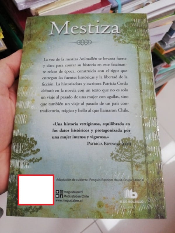 LIBRO MESTIZA - PATRICIA CERDA / B DE BOLSILLO - 2