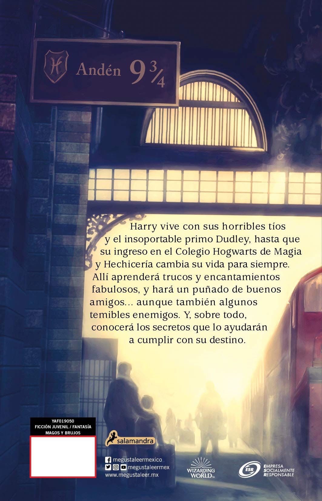LIBRO HARRY POTTER Y LA PIEDRA FILOSOFAL J. K. ROWLING - 2