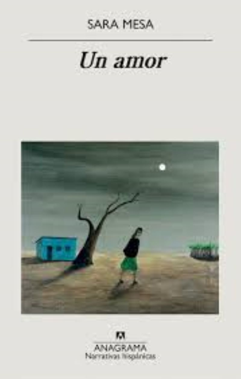 LIBRO UN AMOR - SARA MESA - 1