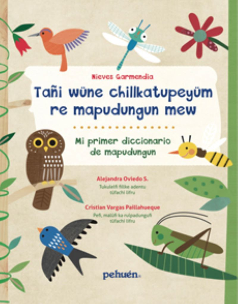 LIBRO MI PRIMER DICCIONARIO DE MAPUDUNGUN /675 - N.GARMENDIA - 1