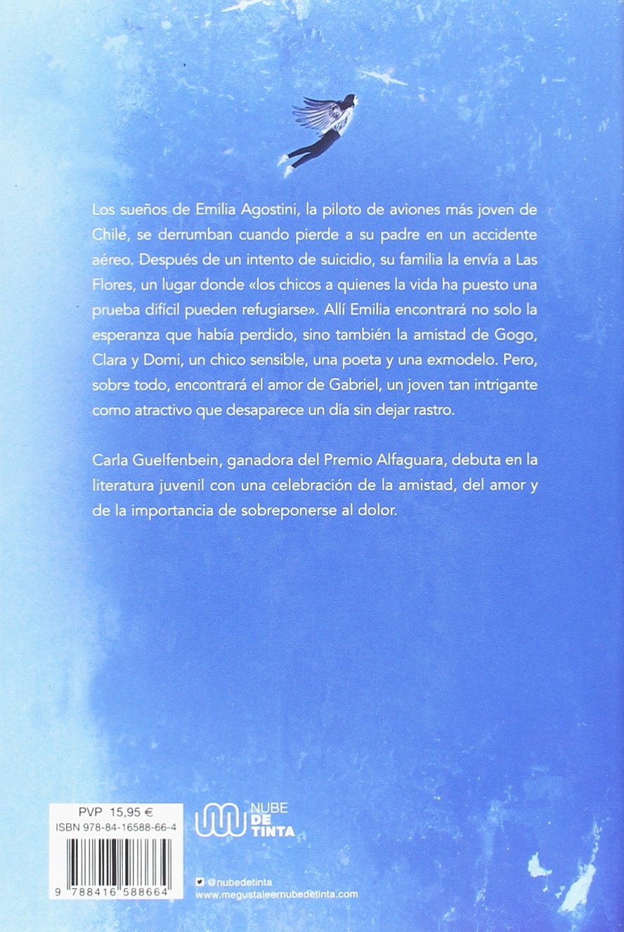 LIBRO LLÉVAME AL CIELO /303 - CARLA GUELFENBEIN - 3