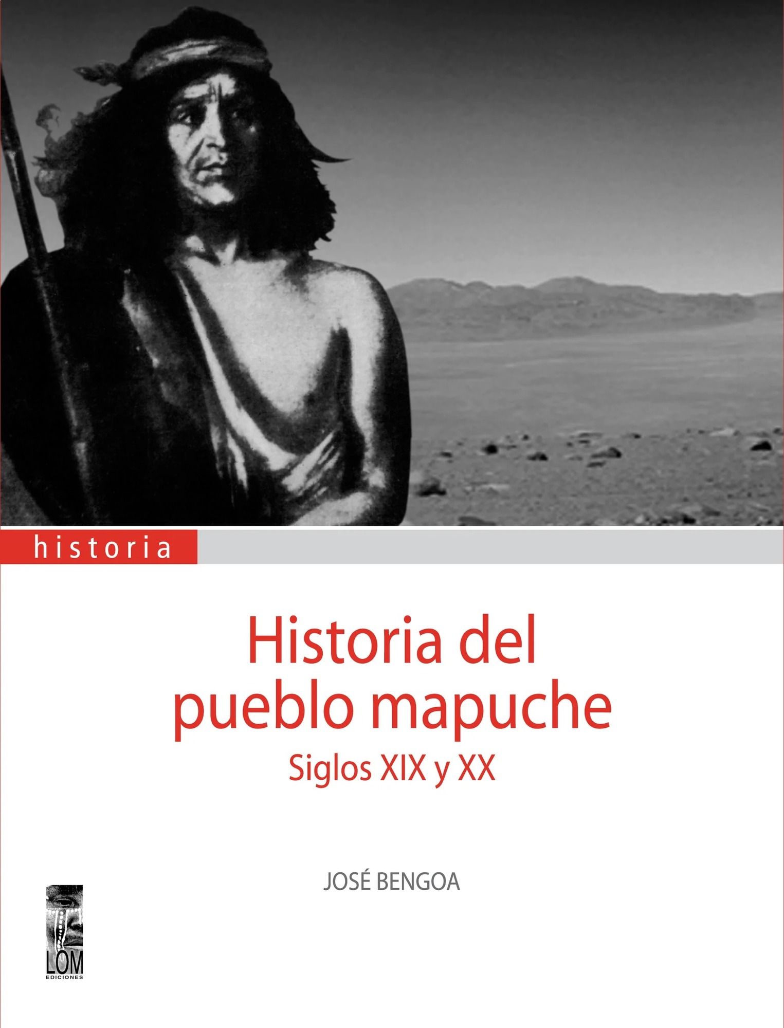 LIBRO HISTORIA DEL PUEBLO MAPUCHE. SIGLOS XIX Y XX JOSÉ BENGOA - 1