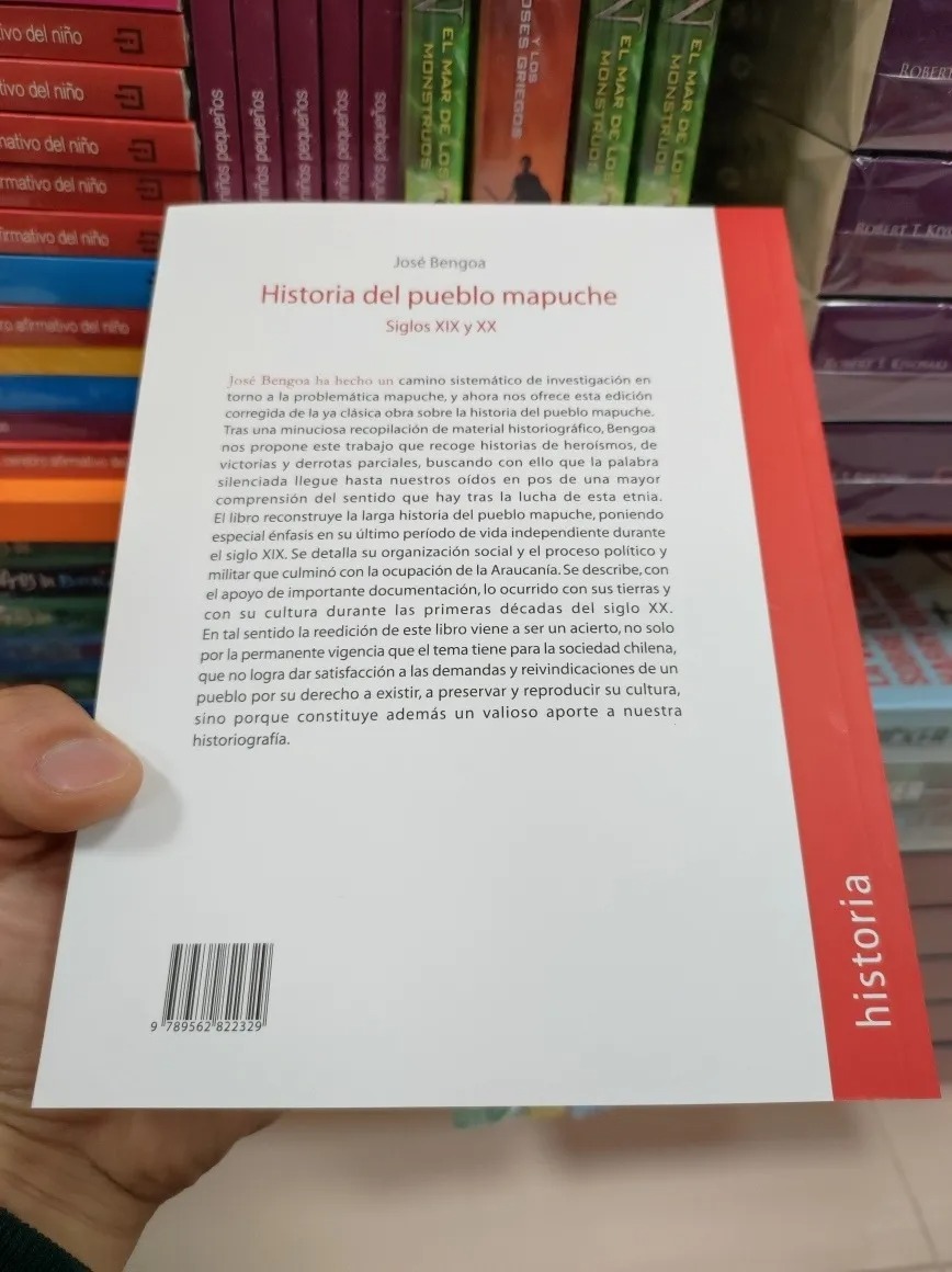 LIBRO HISTORIA DEL PUEBLO MAPUCHE. SIGLOS XIX Y XX JOSÉ BENGOA - 2