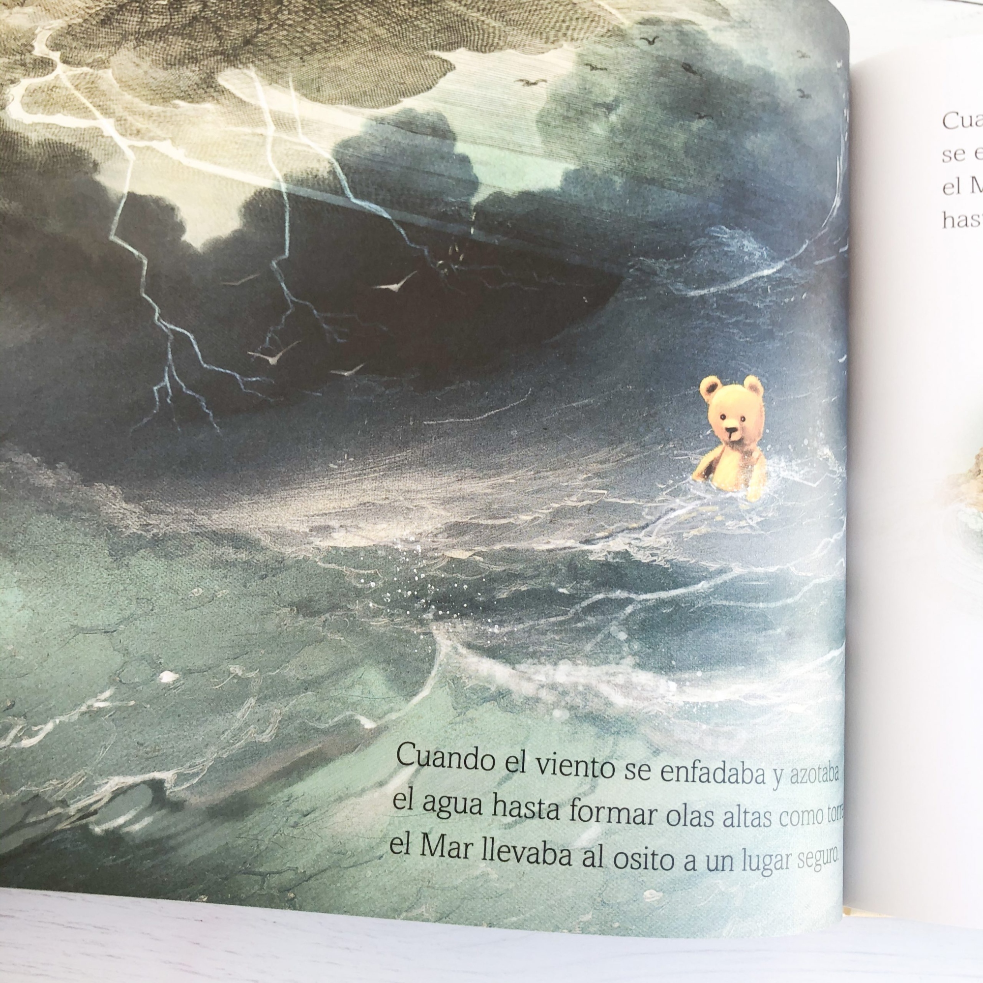 LIBRO SOFIA Y EL MAR - TOM PERCIVAL - 6