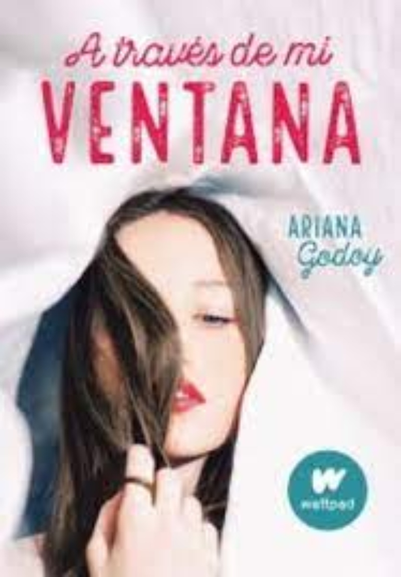 LIBRO A TRAVES DE MI VENTANA 541 A. GODOY - 1