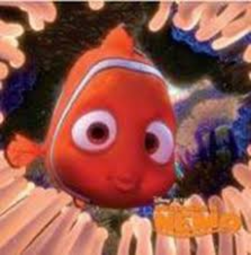 LIBRO BUSCANDO A NEMO - DISNEY / EL GATO DE HOJALATA - 1