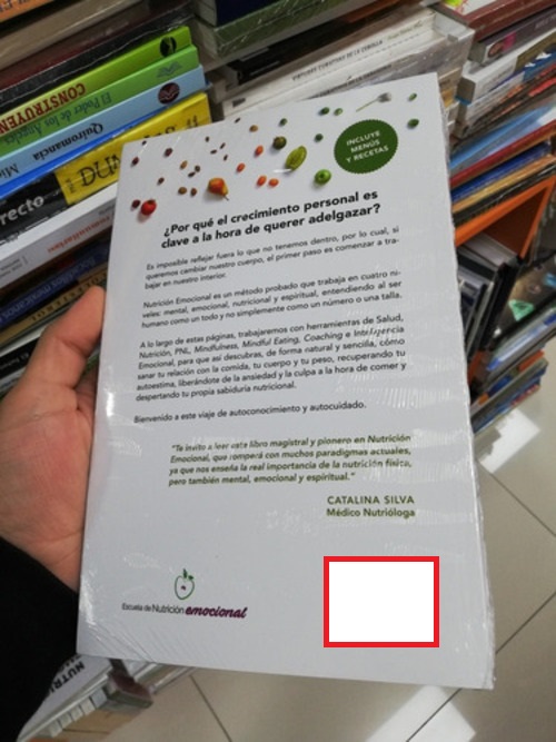 LIBRO NUTRICIÓN EMOCIONAL -595- FRAN SABAL - 2