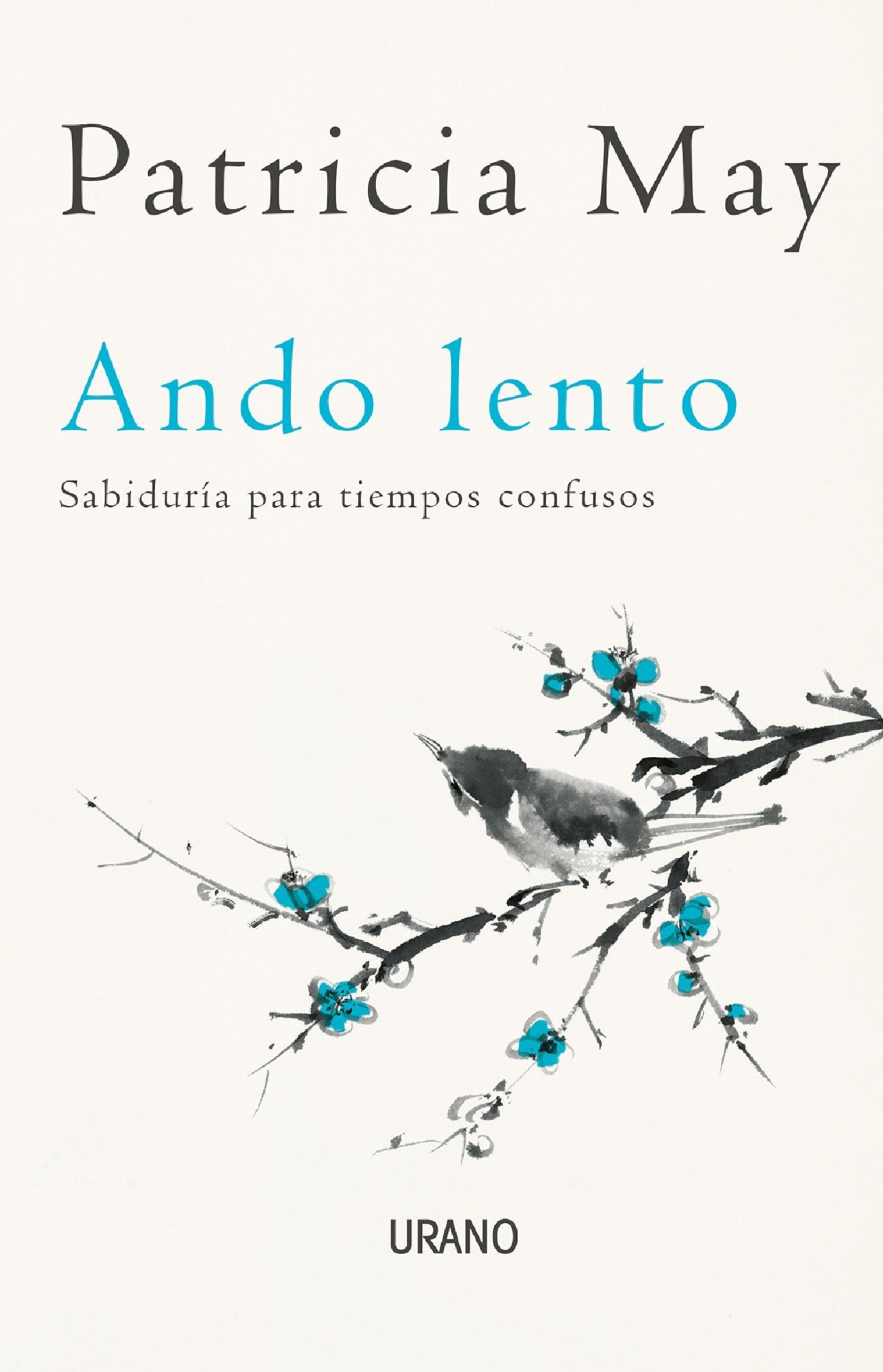 LIBRO ANDO LENTO -197- PATRICIA MAY - 1