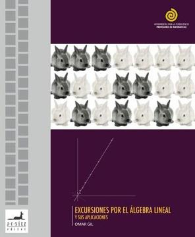 LIBRO EXCURSIONES POR EL ALGEBRA LINEAL -737- OMAR GIL - 1