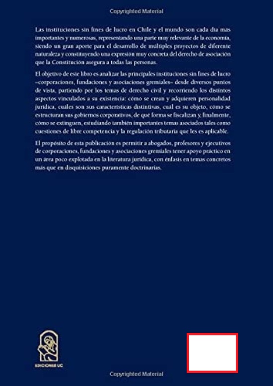 LIBRO INSTITUCIONES SIN FINES DE LUCRO -225- LUIS FELIPE HUBNER - 2