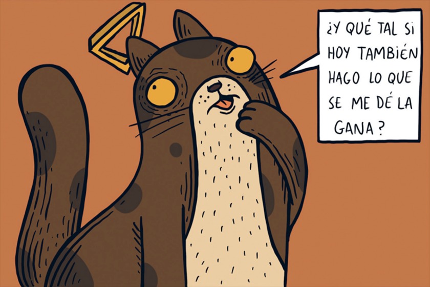 LIBRO LA CONQUISTA DE LOS GATOS - ALBERTO MONTT / 630 - 5