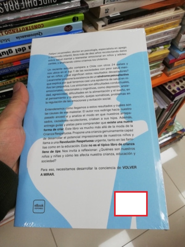 LIBRO VOLVER A MIRAR 098 FELIPE LECANNELIER - 2