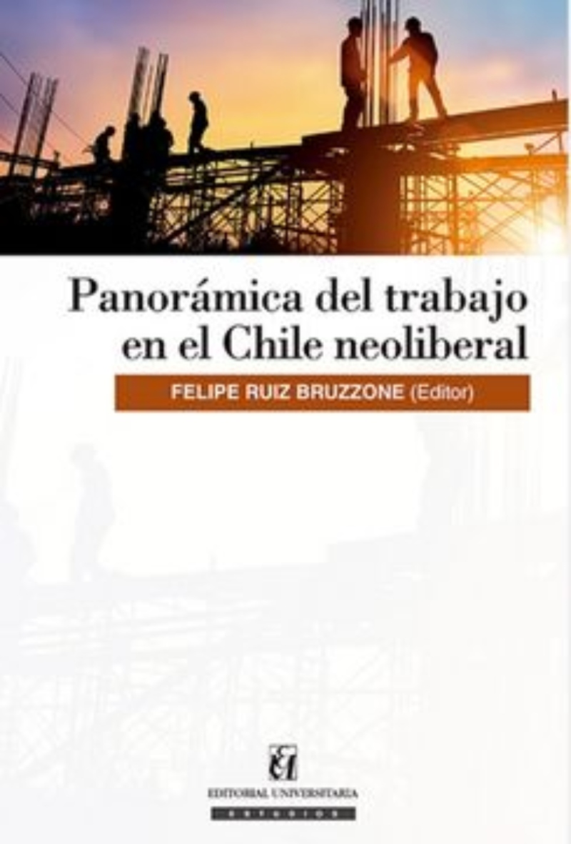 LIBRO PANORAMICA DEL TRABAJO EN EL CHILE NEOLIBERAL -261- VARIOS AUTORES - 1