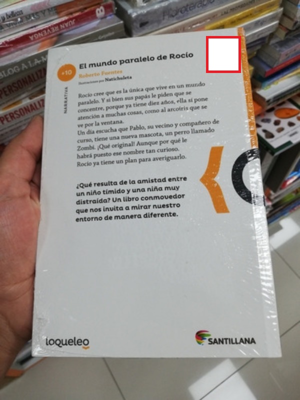LIBRO EL MUNDO PARALELO DE ROCIO -205- ROBERTO FUENTES - 2