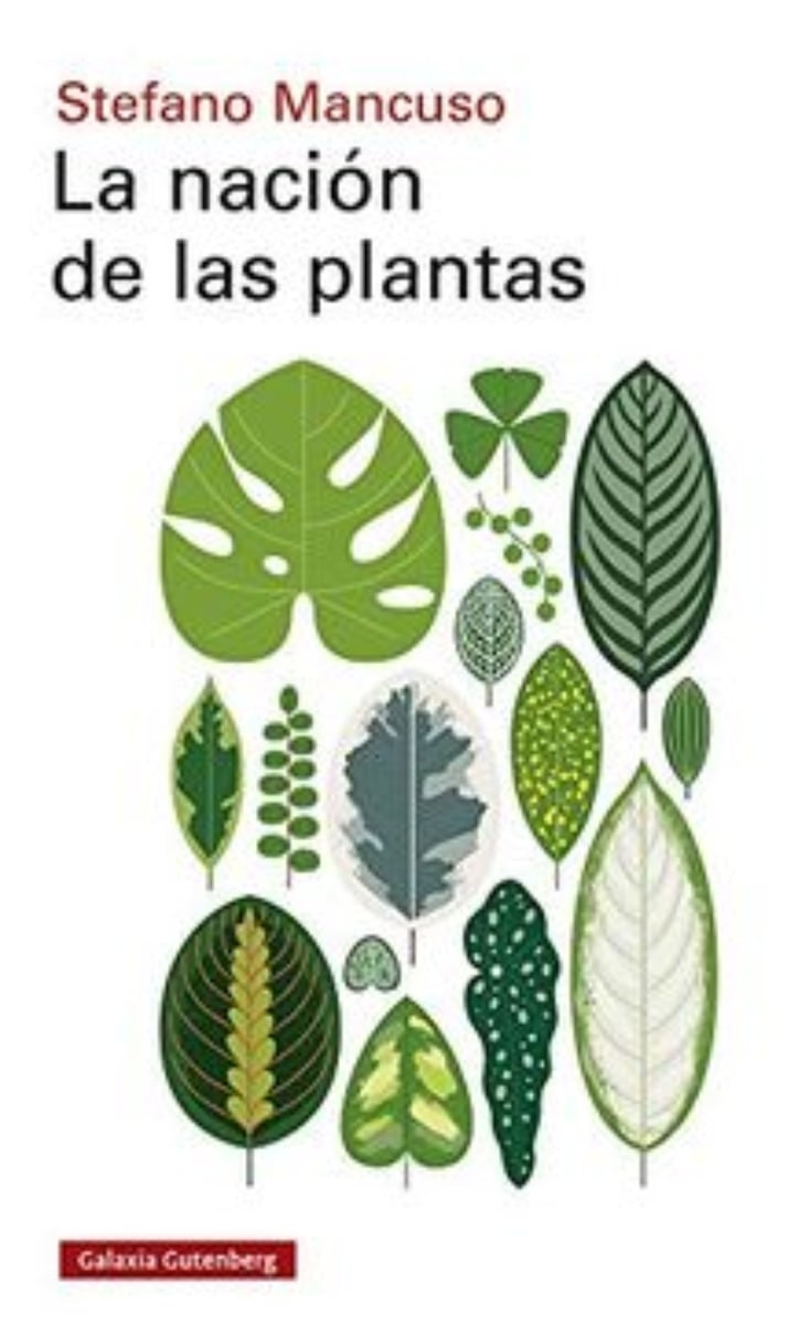 LIBRO LA NACION DE LAS PLANTAS 557 S.MANCUSO - 1