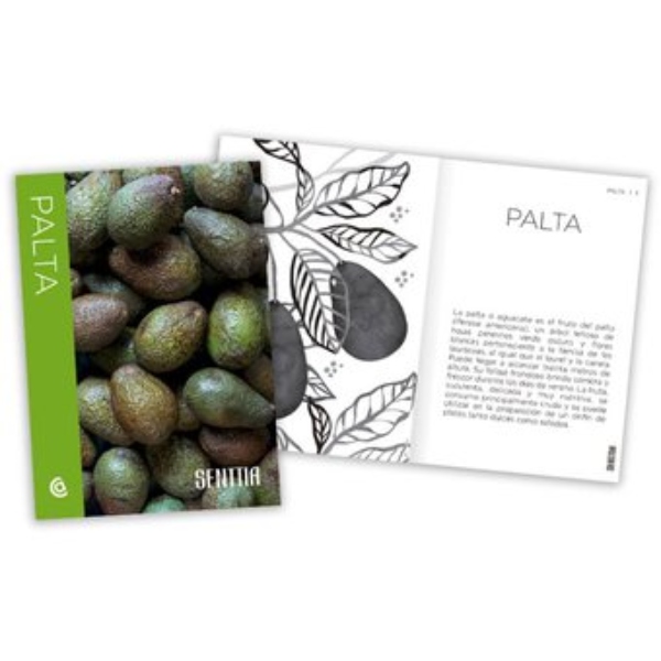 LIBRO SENTTIA - PALTA -218- - CATAPULTA EDITORES - 3