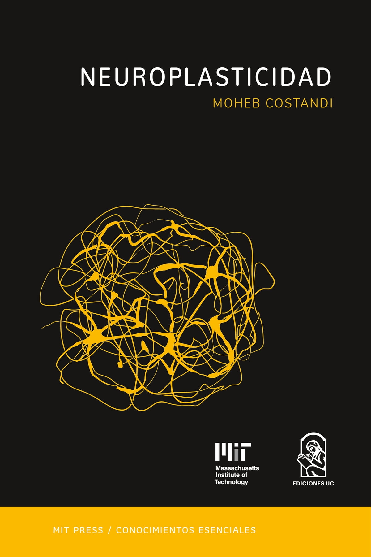 LIBRO NEUROPLASTICIDAD -624- - M.COSTANDI - 1