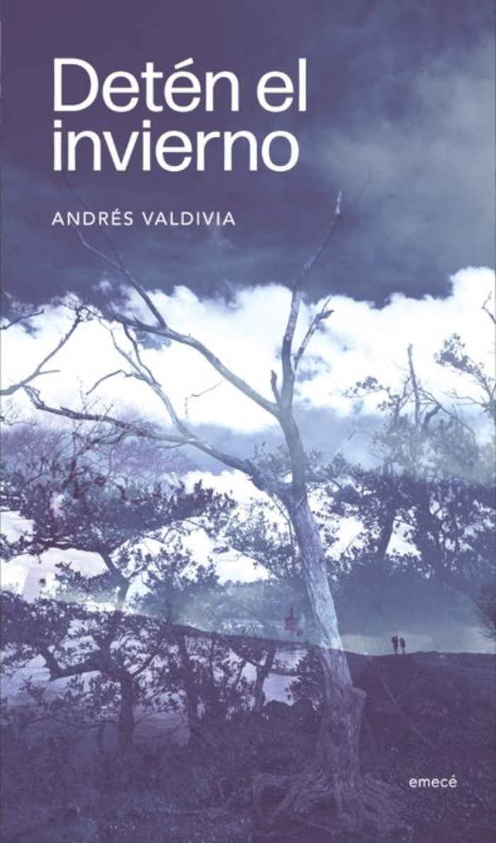 LIBRO DETEN EL INVIERNO 760 A. VALDIVIA - 1
