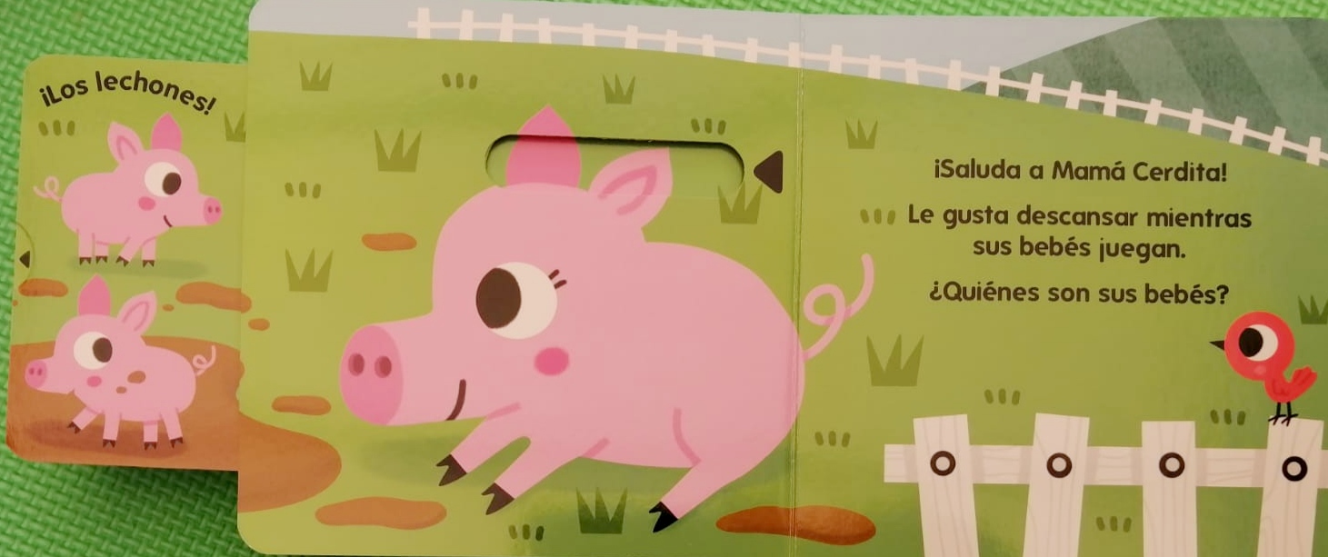LIBRO ¿QUIENES NACIERON EN LA GRANJA? - VARIOS AUTORES - 4