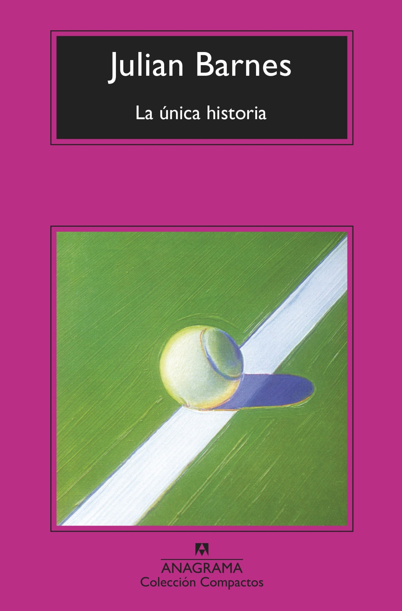 LIBRO LA UNICA HISTORIA /174 - JULIAN BARNES