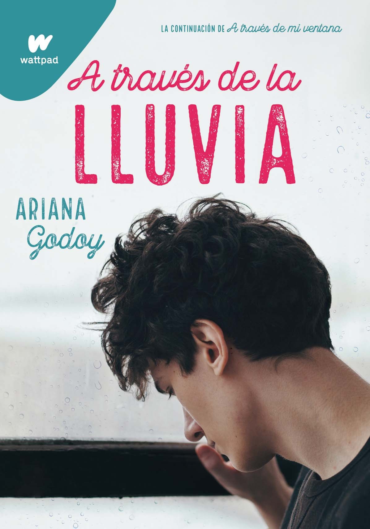 LIBRO A TRAVES DE LA LLUVIA /089 ARIANA GODOY - 1