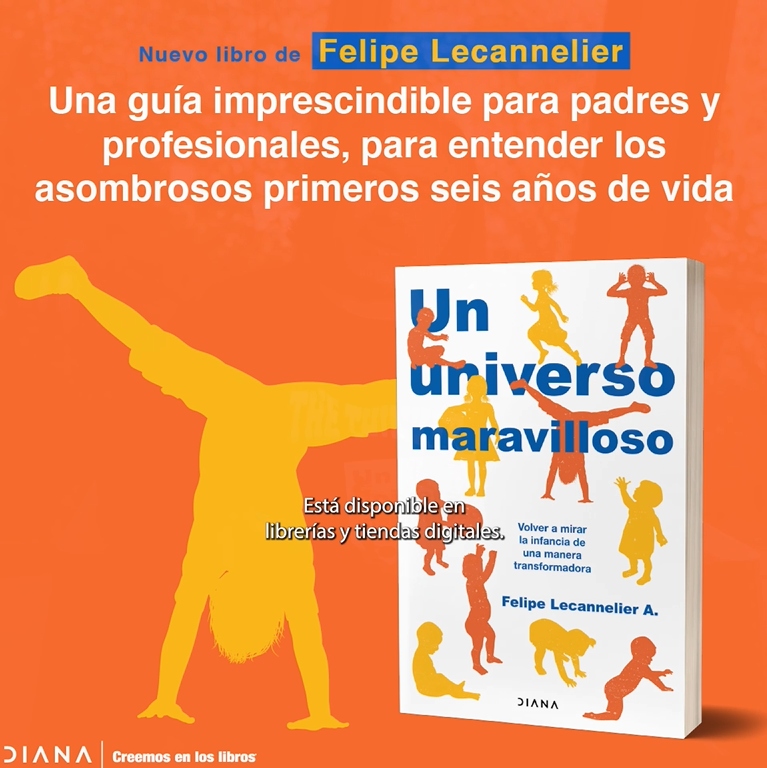 LIBRO UN UNIVERSO MARAVILLOSO /272 - FELIPE LECANELIER - 2