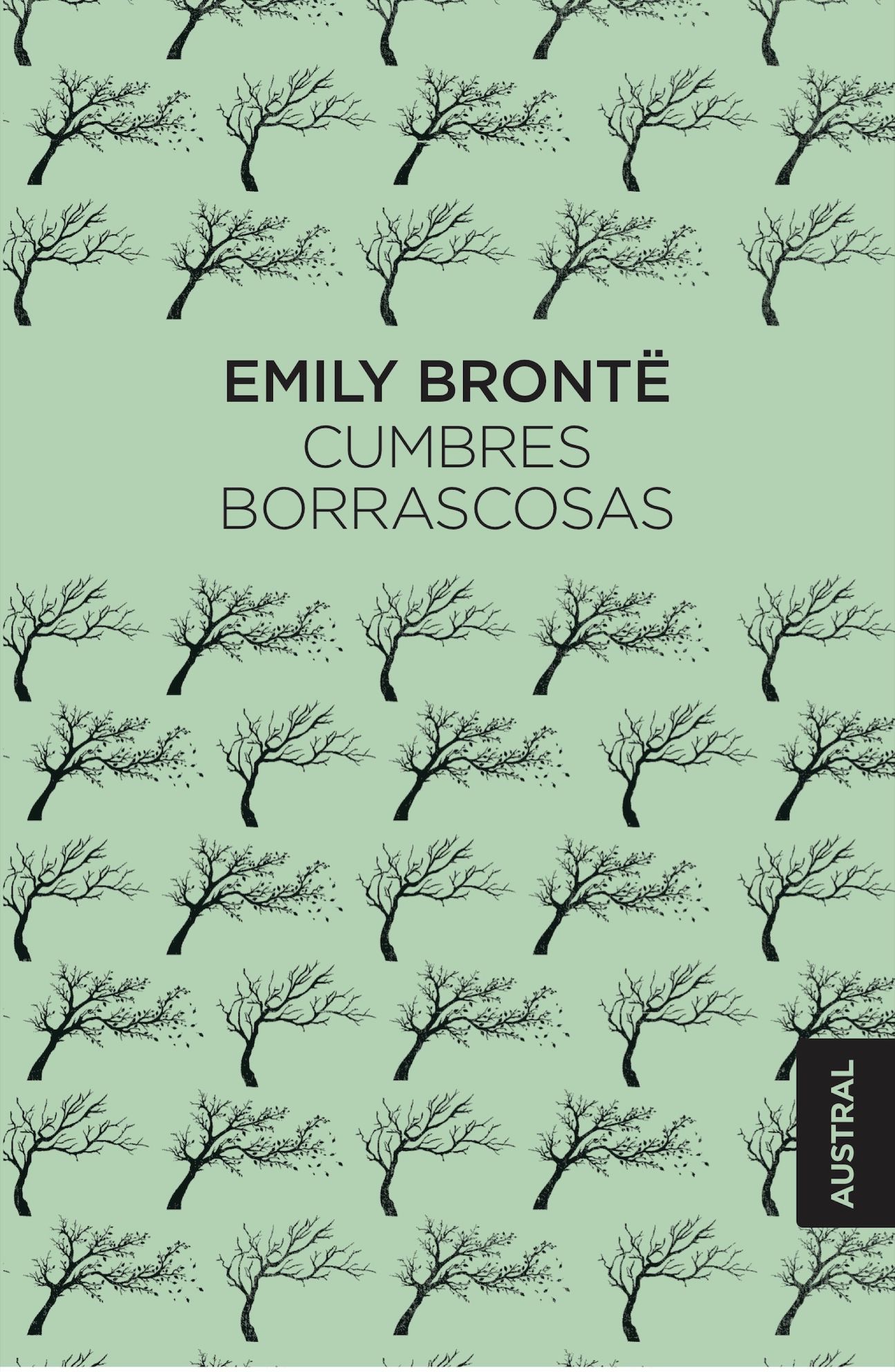 LIBRO CUMBRES BORRASCOSAS /258 EMILY BRONTË - 1