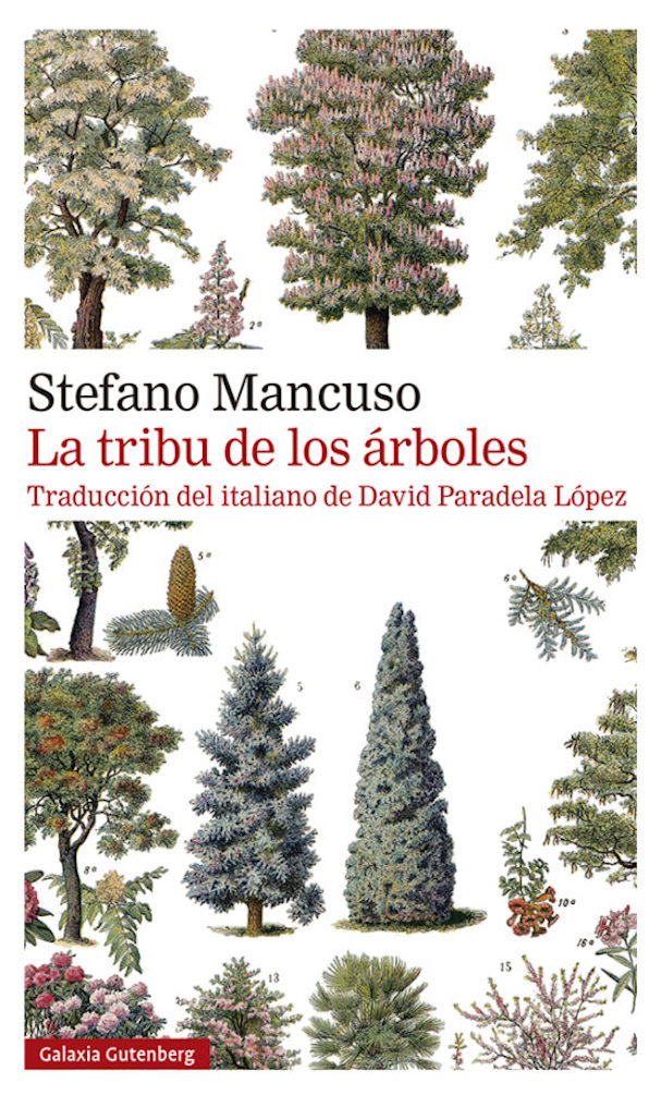 LIBRO LA TRIBU DE LOS ARBOLES STEFANO MANCUSO GALAXIA GUTENBERG - 1