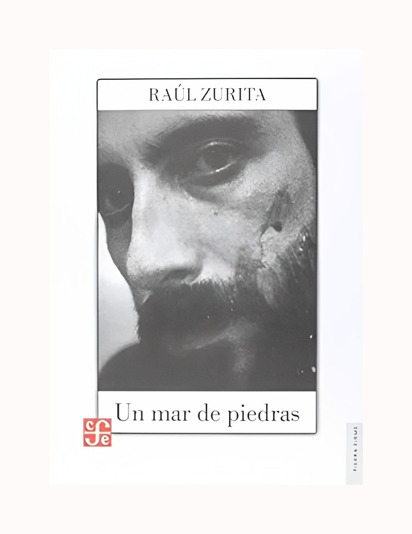LIBRO UN MAR DE PIEDRAS RAUL ZURITA FCE CHILE - 1