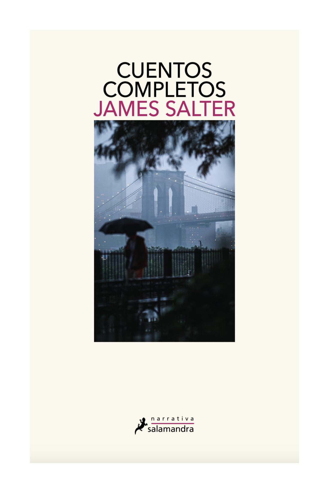 LIBRO CUENTOS COMPLETOS JAMES SALTER SALAMANDRA - 1